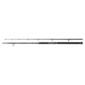 SHIMANO Beastmaster Catfish Multi Spin 2,30m 200g