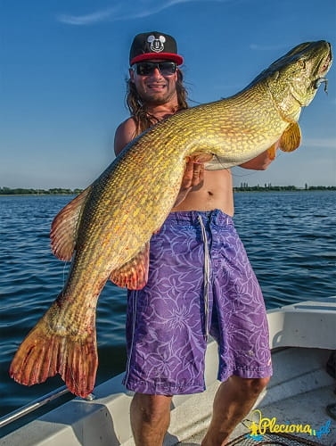 /environment/cache/images/productGfx_107908_700_700/big_pike_pionfb.jpg
