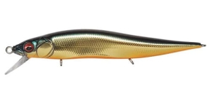 Wobler Vision Oneten JR M Champagne Kinkuro #3