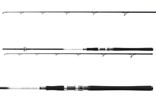 /environment/cache/images/productGfx_112637_700_700/Daiwa-Grandwave-2.40m-150-300g-2cz-S-3.jpg