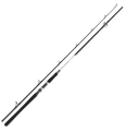 Daiwa Grandwave 2.40m 150-300g 2cz S.jpg