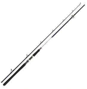 Daiwa Grandwave 2.40m 150-300g 2cz S