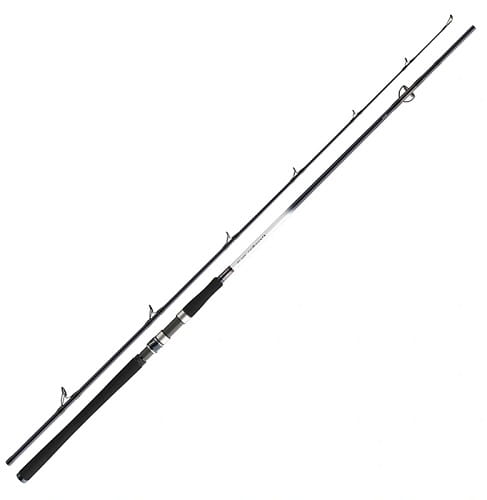 Daiwa Grandwave 2.40m 150-300g 2cz S.jpg