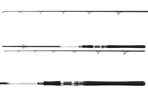 Daiwa Grandwave 2.40m 150-300g 2cz S 3.jpg