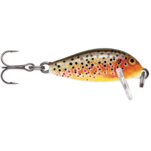 RAPALA Countdown 2,5cm CD01 TR