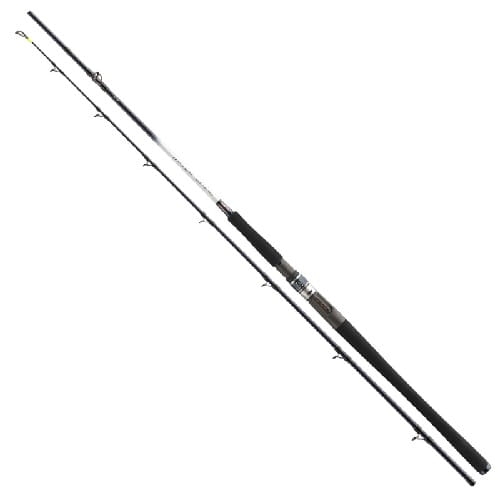 DAIWA Grandwave BC 2.25m 30-40lbs C 2.jpg