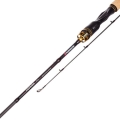 Robinson Toshido Pro Light 2,45m 6-22g 2cz S.1.jpg