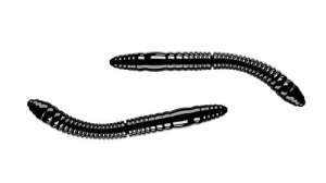 Libra Lures FATTY D'WORM 55mm czosnek Kol.40 12szt