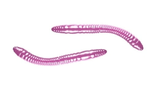 Libra Lures FATTY D'WORM 55mm Ser Kol.18 12szt