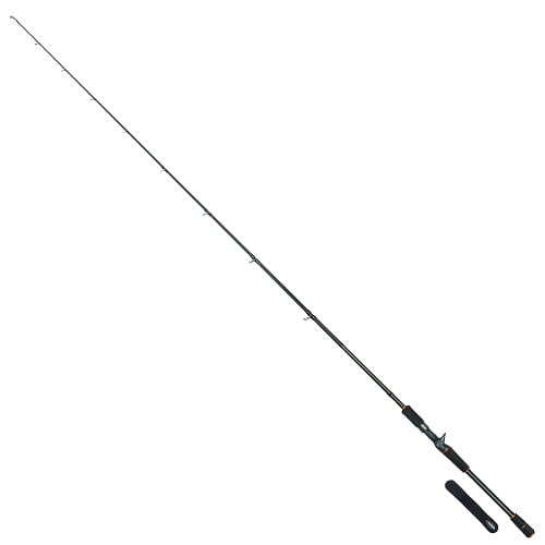 Robinson CityLiner Pro Cast 1.98m 40-100g 1cz C.jpg
