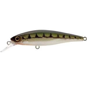 ILLEX Squad Minnow 65 SP RT Vairon