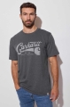Koszulka Carhartt Lightweight Script Graphic CH..jpg