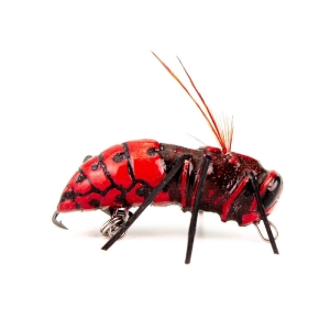 Wobler IMAGO LURES Hornet 3,5cm F RB