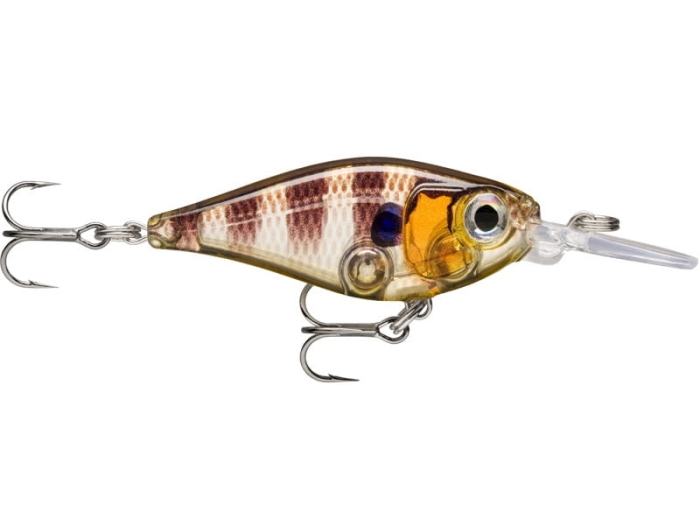 Rapala X-Light Shad 04 Glassy Gill Uv.jpg