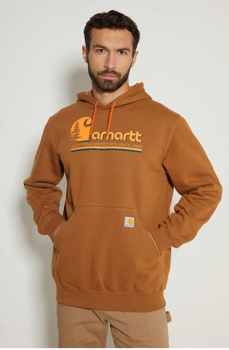 /environment/cache/images/productGfx_130826_700_700/Bluza-Carhartt-Graphic-Hooded-Sweatshirt-S.jpg