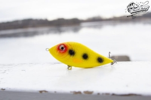 Kaszub-Bait Jerk Danire 8 ZK 30G S