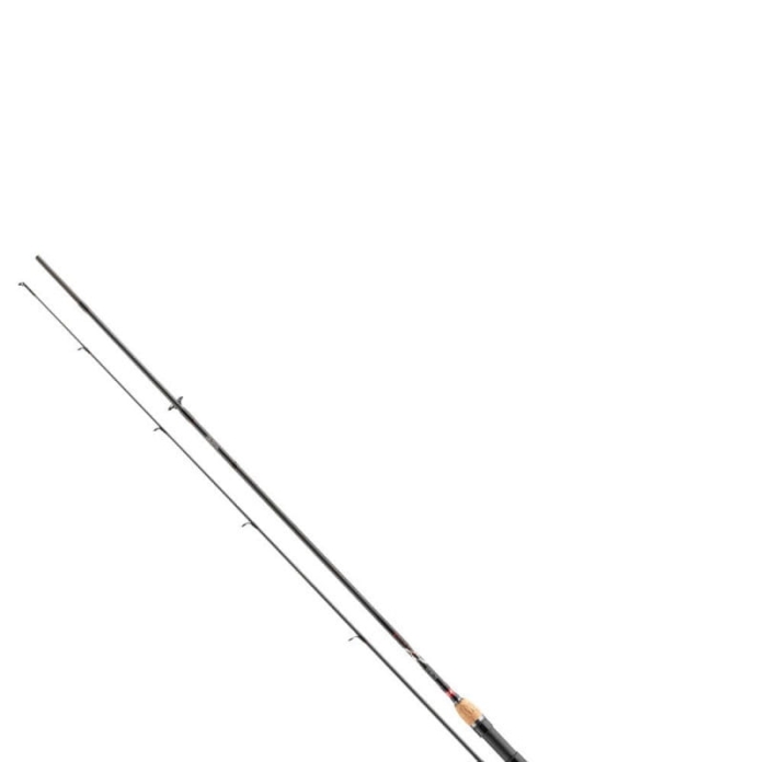 /environment/cache/images/productGfx_132174_700_700/Wedka-Daiwa-Ninja-X-2%2C10m-10-30g-2cz-S1.jpg