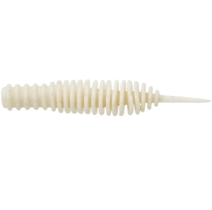 Select Snack 1.5" #557  (8szt/opak)