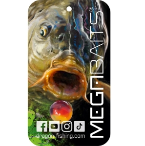 Zawieszka zapachowa MegaBAITS Karp czarna Forest
