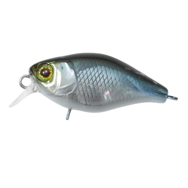 Illex CHUBBY 38 NF ABLETTE.jpg