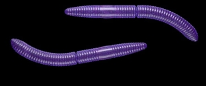 Libra Lures Fatty D'Worm 65mm Ser Kol.20 10szt
