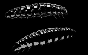 Libra Lures Larva 45mm Kryl Kol.040 8szt