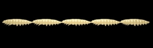 Libra Lures Larva Multi 005 Cheese Cheese 25szt