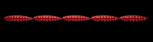 Libra Lures Larva Multi 021 Red Cheese 25szt