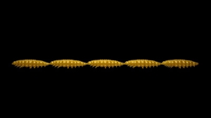 Libra Lures Larva Multi 036 Coffee Milk Krill25szt