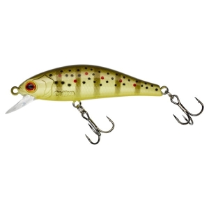 GUNKI Rodan 59 SHW Wild Trout