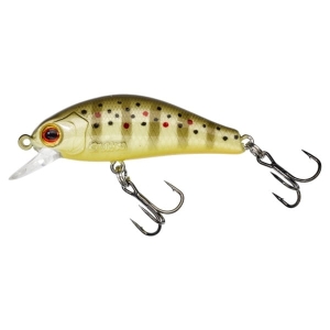 GUNKI Rodan 40 SHW Wild Trout