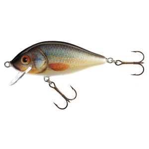 Wobler Jaxon Karaś 7.5cm F 13g UK