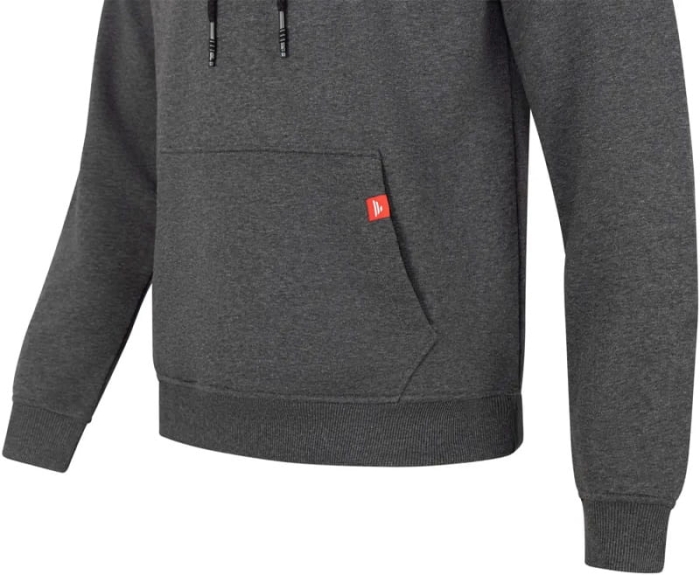 /environment/cache/images/productGfx_136995_700_700/Favorite-Bluza-Black-Logo-Dark-Grey-Melange3.jpg