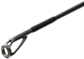 Favorite Black Swan 2,94m 24-84g 2cz S2.jpg