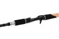 Fox Rage TR Replicant Special 230cm 40-120g 2sec C123451.jpg