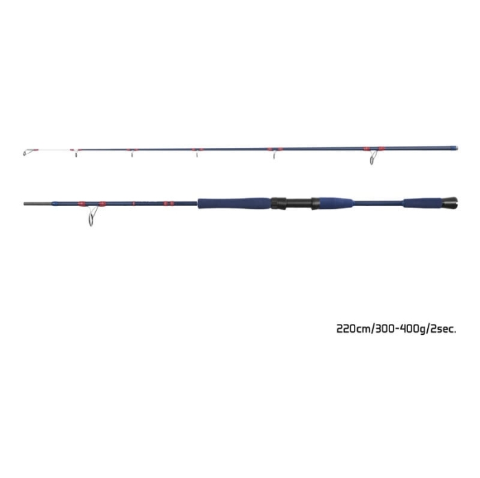 Delphin FYORD BigBOAT 220cm 300-400g 2cz S.jpg