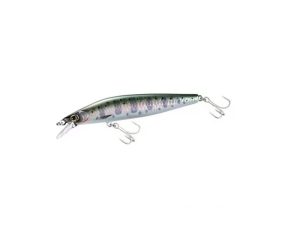 Shimano Cardiff ML Bullet AR-C 10g 93mm 006 Wakasa