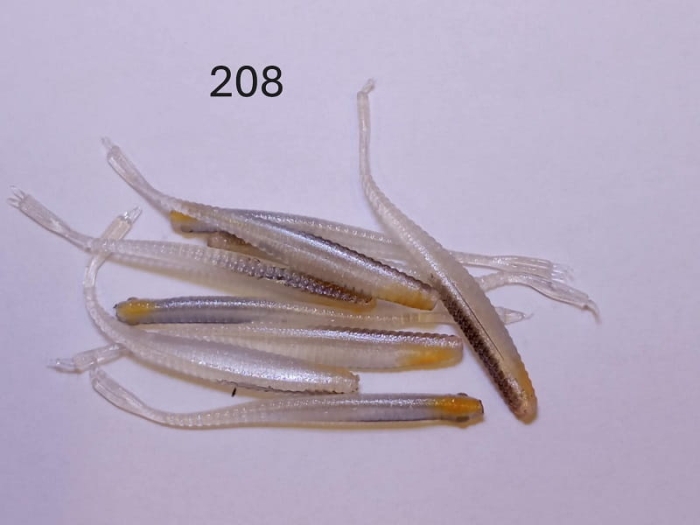 208.JPG