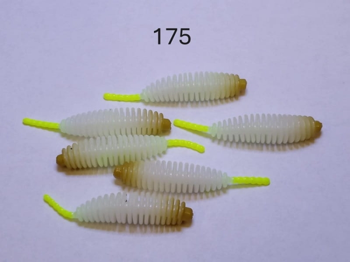 175.JPG