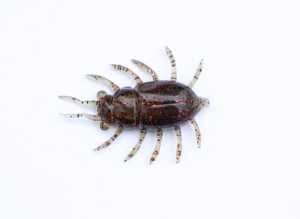 FishUP Maybug 1,3 #019 - Motor Oil/Red 5szt