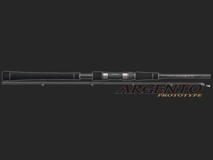 Graphiteleader ARGENTO Prototype 2.74m -28g.jpg
