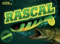 Rascal Bulk1.jpg