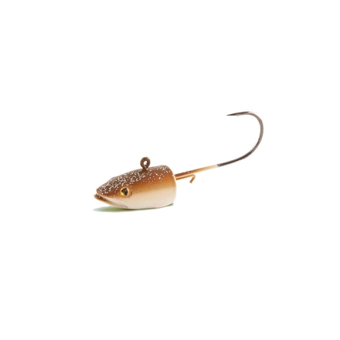 eel-head-natural.jpg