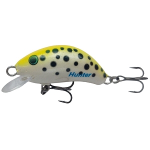 Wobler Kenart Hunter 5 Y