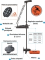 Silnik elektryczny HasWing 80 24V Cayman GPS6.jpg