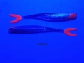 237UV.JPG