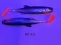 621UV.JPG
