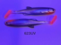 623UV.JPG