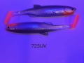 723UV.JPG
