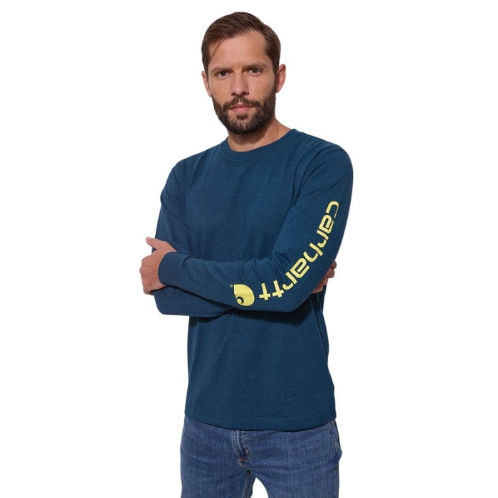 /environment/cache/images/productGfx_147192_700_700/Koszulka-Carhartt-Dearborn-Relaxed-LS-M.jpg